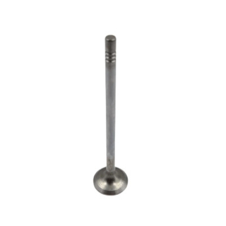 Geely Coolray exhaust valve 1030044300