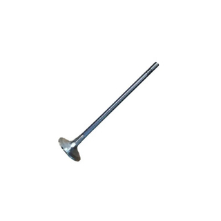 Geely Coolray exhaust valve 1030525900