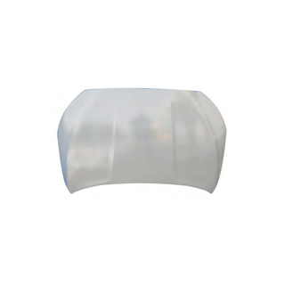 Hood For Hyundai VELOSTER 2019 66400-J3000 66400J3000