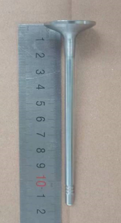 Intake Valve for Geely Coolray 1030021800