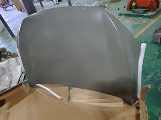 A00053079DY Baic U5 Plus Hood