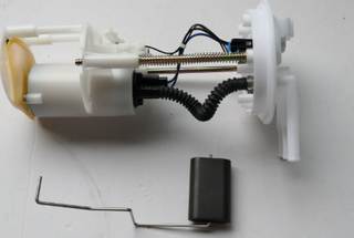Fuel Pump for Hongqi H9 1106010DB01